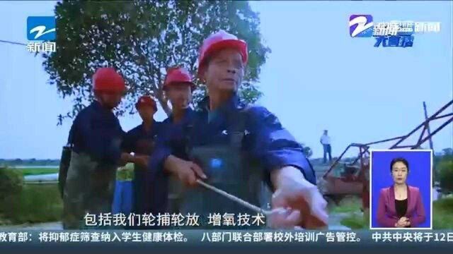 共同富裕 浙里在行动 龙游重建淡水鱼产销“生态圈” 把草鱼养成“共富鱼”