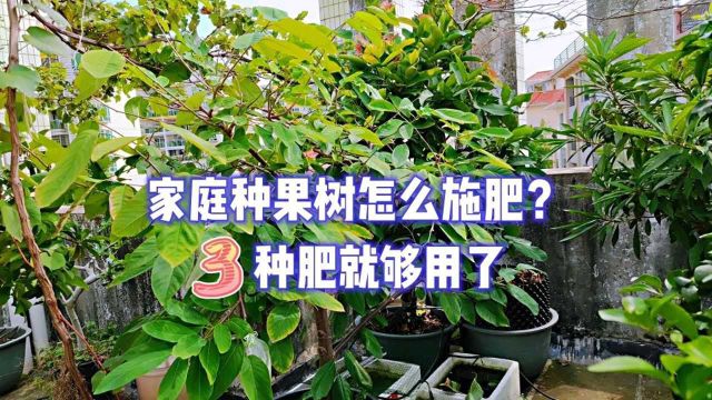 家庭种果树该怎么施肥?不需要准备太多,这3种肥就够用了