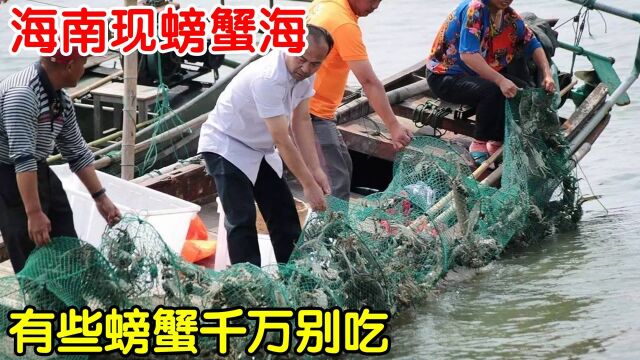 海南再现“螃蟹海”,海滩上一些螃蟹不能吃?一旦吃了有何危险?