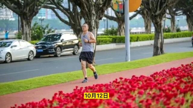 广州越秀区东山少爷广场,社区公园再次获得国际性设计奖