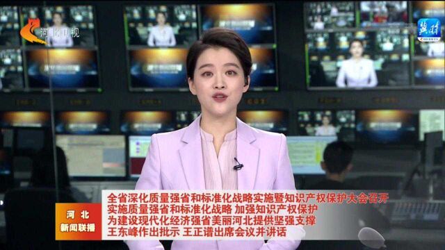 河北省深化质量强省和标准化战略实施暨知识产权保护大会召开