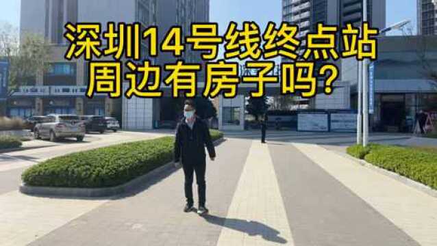 深圳14号线终点站沙田站走路回家的项目长啥样?