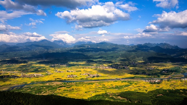 象州县百丈乡人民政府自编自导自演的情景剧《雷山作证》,超级震撼!