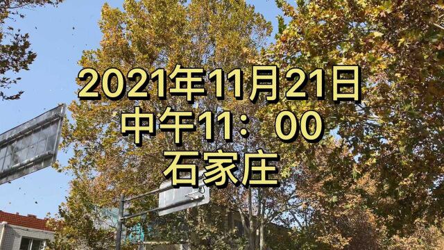 2021年11月21日,石家庄大风中全镜头实拍河北财政厅到石药集团