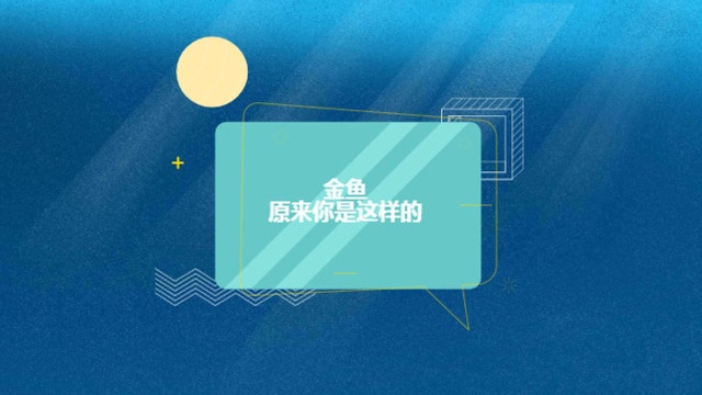 金鱼是我国的“国粹”,和日本锦鲤有着极大不同,也不可同缸饲养