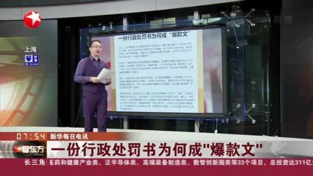 新华每日电讯:一份行政处罚书为何成“爆款文”