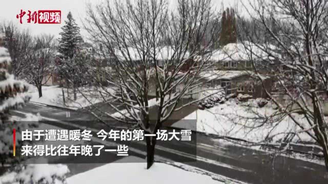 加拿大多伦多降下今冬首场大雪