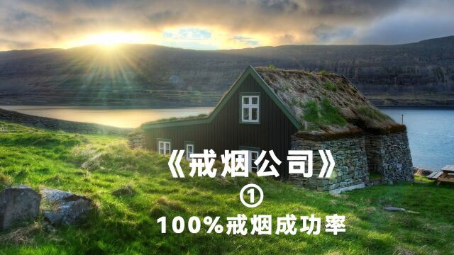 100%戒烟公司