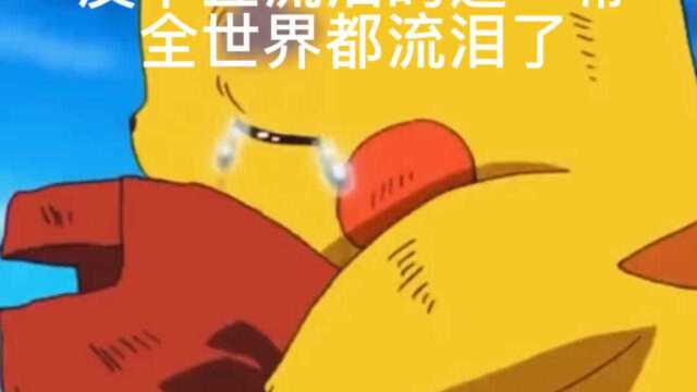 好感动,都给我哭