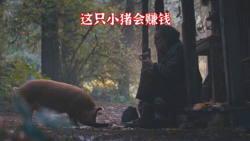 5分钟看完，凯奇2021新片《疾速猪杀》，一条猪引发的血案#尼古拉斯凯奇 #电影解说