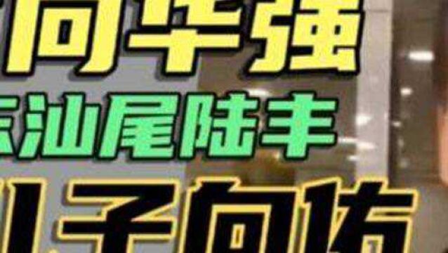 百亿富豪向华强祖籍陆丰,他和儿子向佑在内地的一些故事(7)