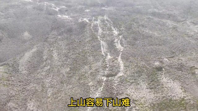 路上爬了个小山坡,结果不出意外(上山容易下山难啊)