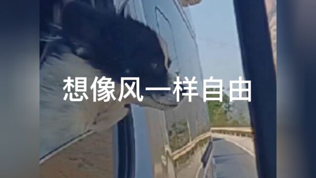 计划有变,但仍在路上#房车生活 #房车旅行