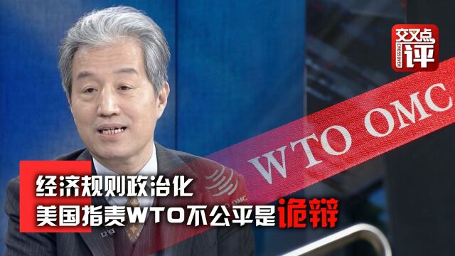 经济规则政治化 美国指责WTO不公平是诡辩