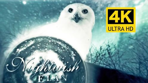 【4K修复】Nightwish夜愿乐队《Élan》经典MV
