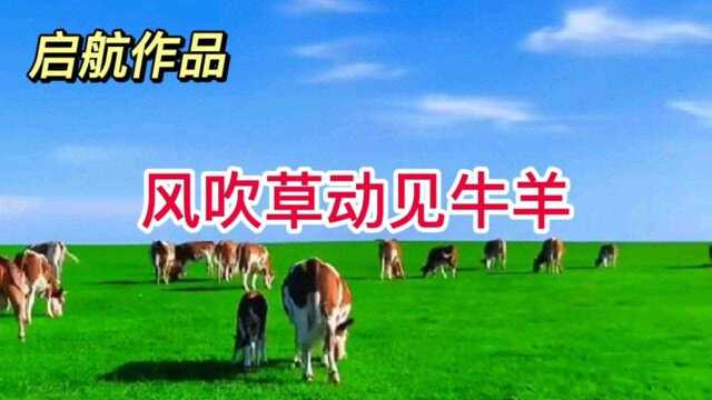 美丽草原牧场