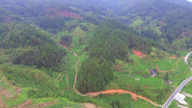 风水宝地猛虎下山,龙穴砂水向都很好,用做墓葬不出文武就出富商