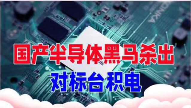 好消息,国产半导体又一黑马杀出,对标台积电,给美国一个下马威