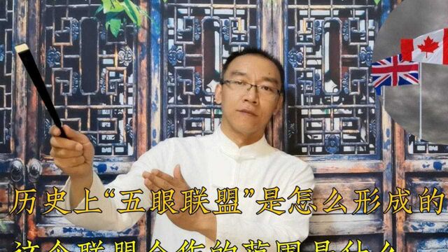 历史上“五眼联盟”是怎么形成的?这个联盟合作的范围是什么