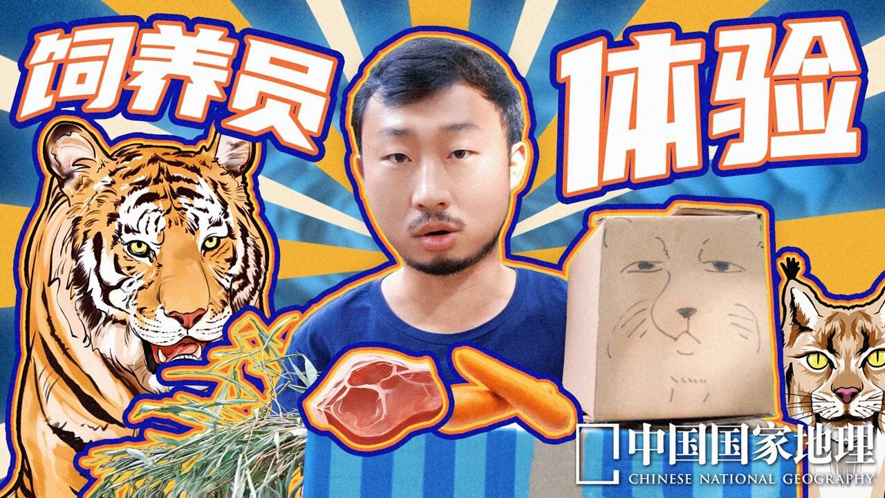 豹子也爱喷香水?狐主任体验饲养员的一天_高清1080P在线观看平台_腾讯视频