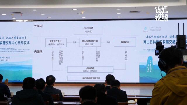 安吉上线全国首个县级竹林碳汇收储交易平台