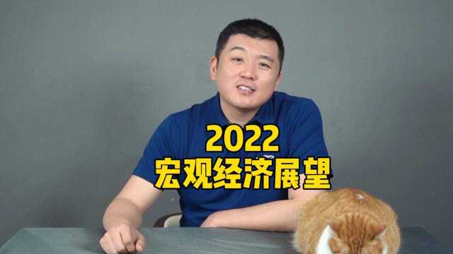 2022宏观经济展望