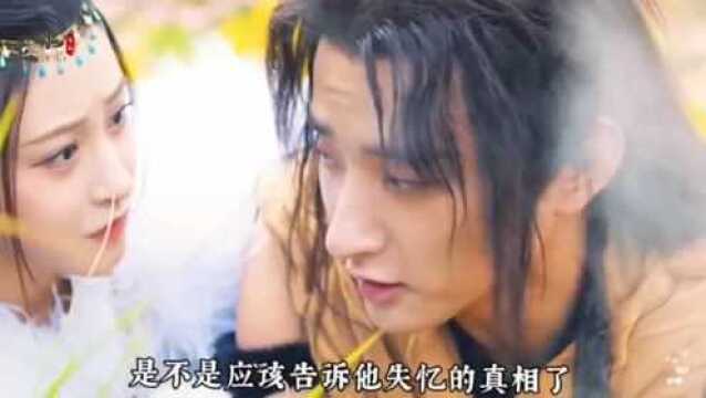 《冰火凤》花木为爱甘愿忍受抽血之痛也要救冰凤凰