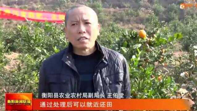 衡阳县:绿色种养 开启循环农业新模式