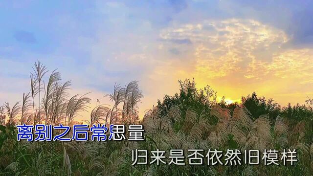 东达演唱歌曲《花开花落》KTV版