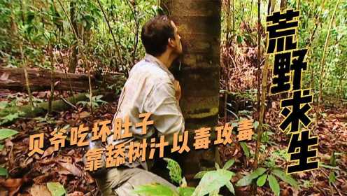 贝爷在热带雨林栽了大跟头，三天只吃了一顿，外加八顿小窜稀！