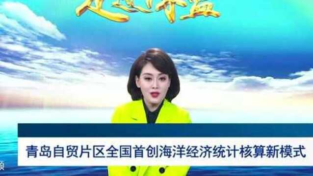 走进深蓝|青岛自贸片区全国首创海洋经济统计核算新模式