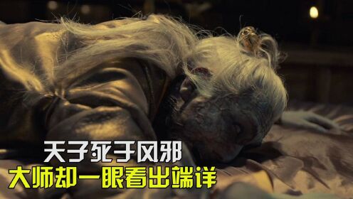 天子死于风邪，大师却一眼看出端详，皇帝竟被黑猫所杀