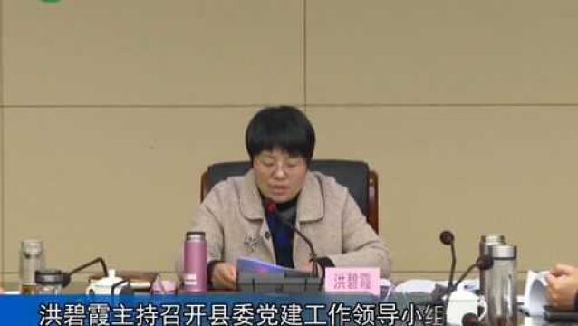 武宁县委书记洪碧霞主持召开县委党建工作领导小组会