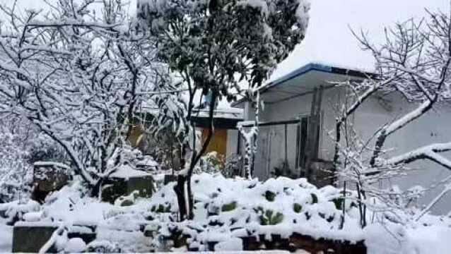 黔西南5县市迎来虎年第一场雪!未年3天天气…这些高速交通管制…