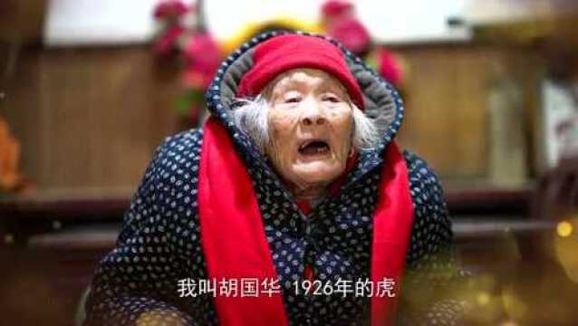 【网络中国节ⷦ˜娊‚】虎年大吉!十二只“虎”齐聚送祝福!