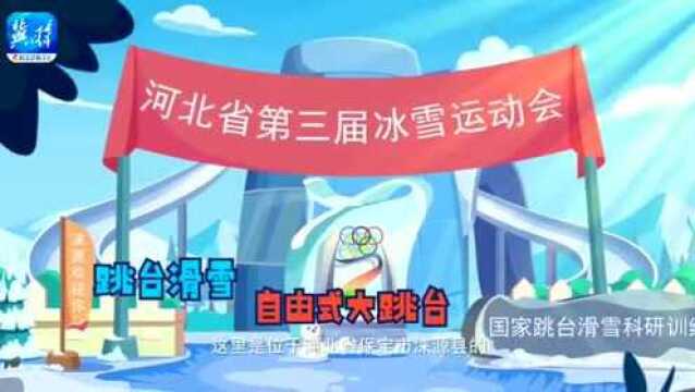 冰宝雪宝带你参观奥运场馆