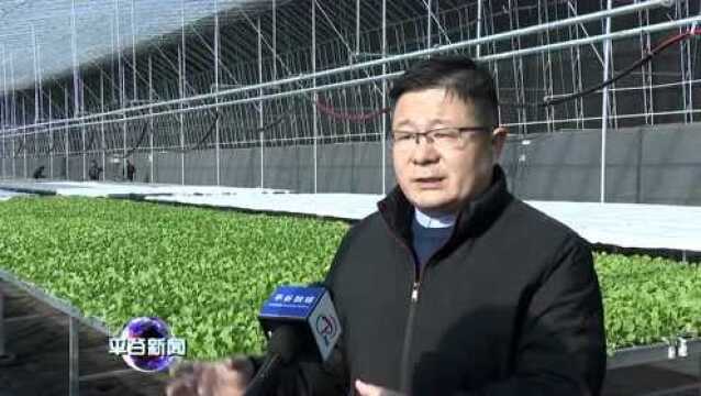 平谷打造国家级种业创新基地!