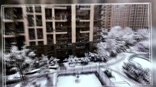 合肥的雪惊艳朋友圈,下雪天这样拍美爆了!