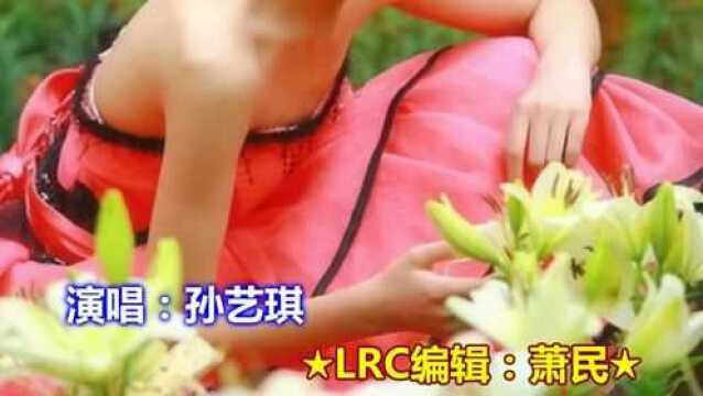 又见山里红》 孙艺琪伴奏版