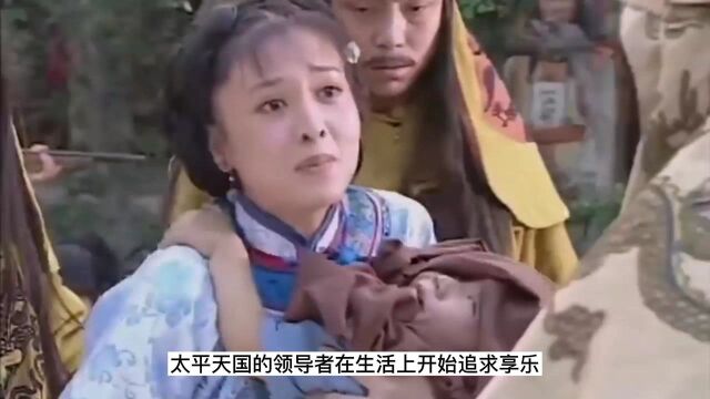 04观点辨析:怎样认识天京事变?