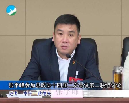 张宇峰参加县政协十四届二次会议第二联组讨论