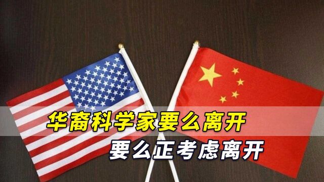 美国开展“中国行动计划”,“华裔科学家要么离开要么考虑离开”