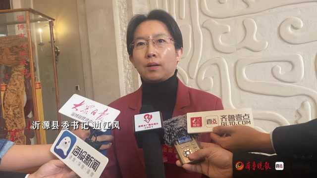 党代表访谈|边江风:为再创淄博火红年代贡献“沂源力量”