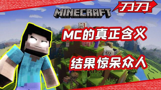 MC在国外的含义是我的世界?帅小伙一查直接傻眼!