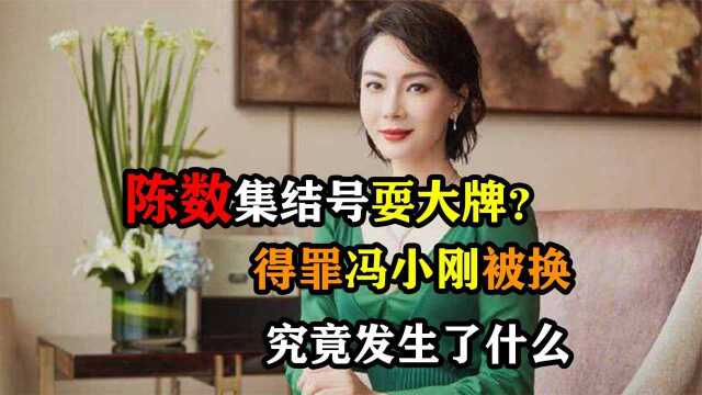 陈数集结号耍大牌?得罪冯小刚被换,究竟发生了什么