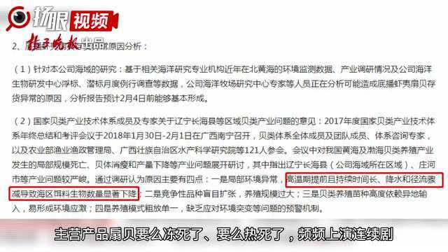 “扇贝跑路”的网红上市公司獐子岛,又出事了