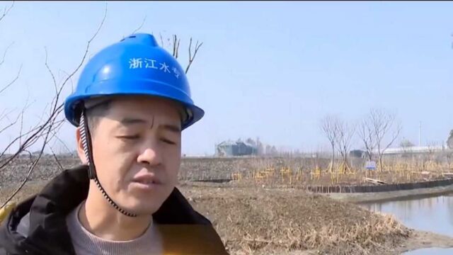 加大水利工程建设,桐乡:掀起水利工程建设热潮