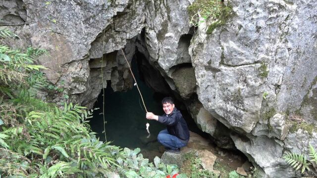 野钓:岩壁下的小深潭,石鲶鱼吃钩真过瘾,一下竿靓货连甩个不停