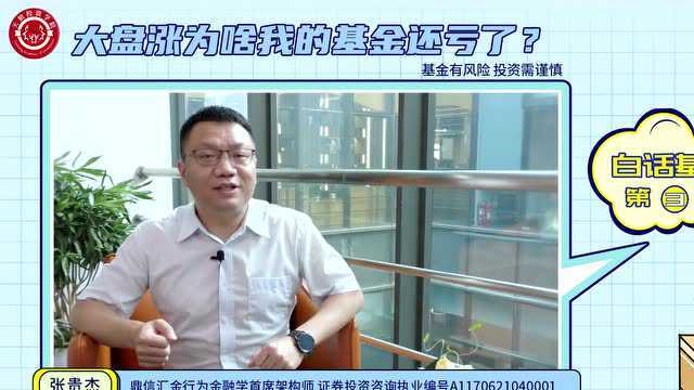 大盘涨为啥我的基金还亏了?——白话基金17问丨03