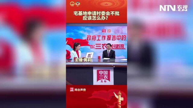 宅基地申请村委会不批应该怎么办?#两会声音